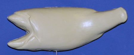 L642 Largemouth Bass (Body Action)
