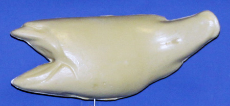 L665 Largemouth Bass (Body Action)