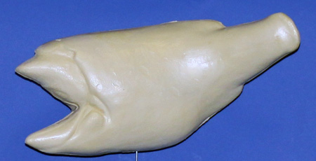 L782 Largemouth Bass (Body Action)