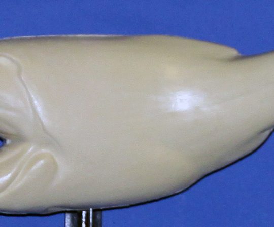 L873 Largemouth Bass (Body Action)