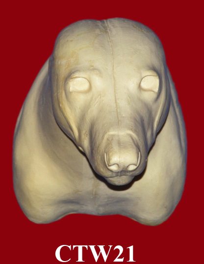 CTW21 Timber Wolf Shoulder - Peter Knapton