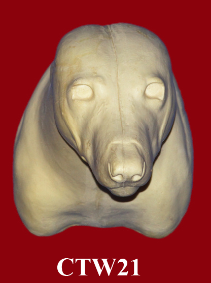 CTW21 Timber Wolf Shoulder - Peter Knapton