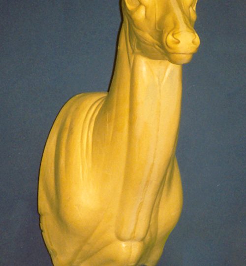 MD005 Upright Buck Shoulder