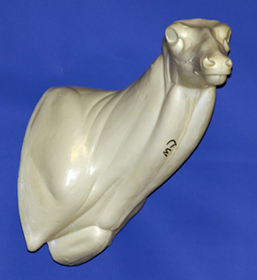 MD007 Semi Sneak Buck Shoulder