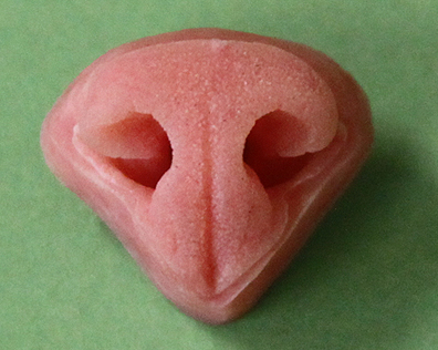 N81 Lynx Nose