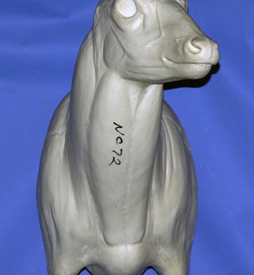 NC072 Semi Sneak Buck Left