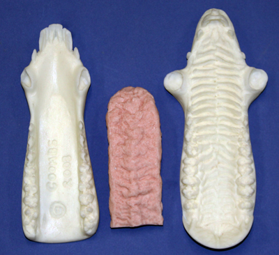 JSWB4 Non Painted - Fits 06, 07, 08, 09, 10