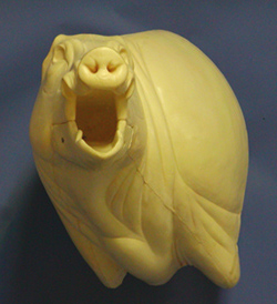 CEB25OL Offset - Open Mouth