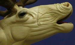 ELK131 Bugling Elk - Left Turn