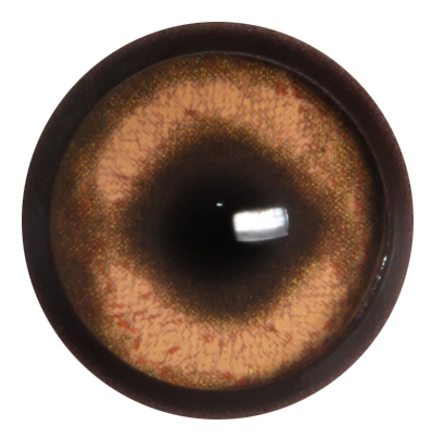 PB26 Boar No Band 26 MM