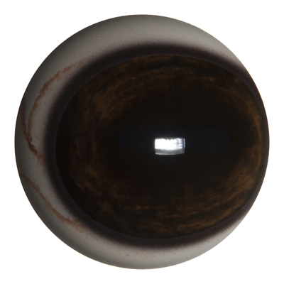 PRV30D 30MM Dark Color Pre Rotated with Veins