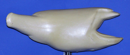 R2095 Largemouth Bass