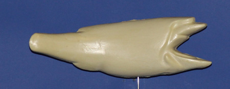 R302 Largemouth Bass