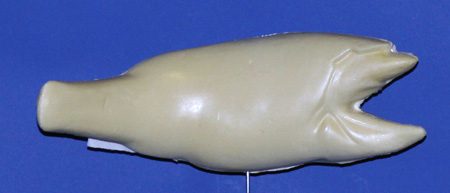 R310 Largemouth Bass