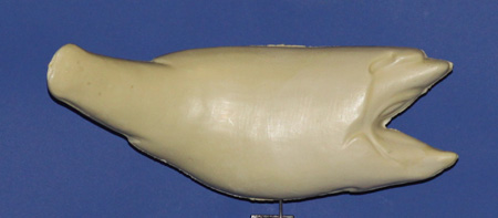 R432 Largemouth Bass