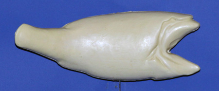R535 Largemouth Bass