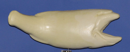 R644 Largemouth Bass