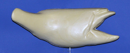 R762 Largemouth Bass