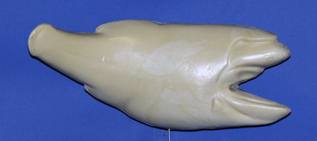R770 Largemouth Bass