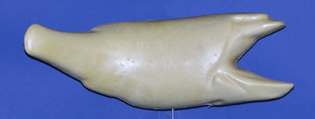 R860 Largemouth Bass