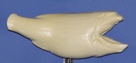 R880 Largemouth Bass