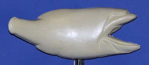 R981 Largemouth Bass