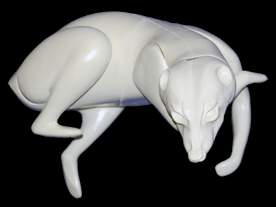 RC4212 Raccoon - Brian Harness