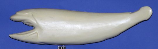 RFL2617 Redfish