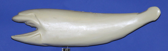 RFL2617 Redfish