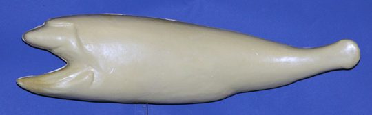 RFL3 Redfish