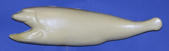 RFL3 Redfish