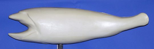 RFL3324 Redfish