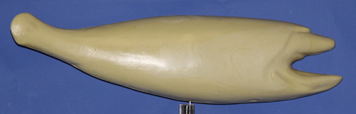 RFR1 Redfish