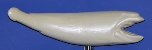 RFR2114 Redfish