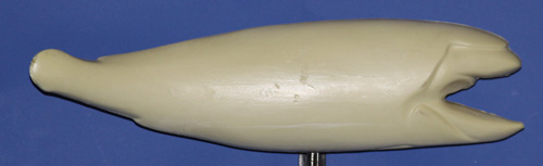 RFR2719 Redfish