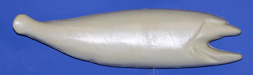 RFR3 Redfish