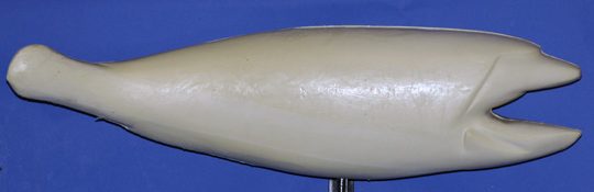 RFR3324 Redfish