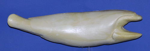 RFR4 Redfish