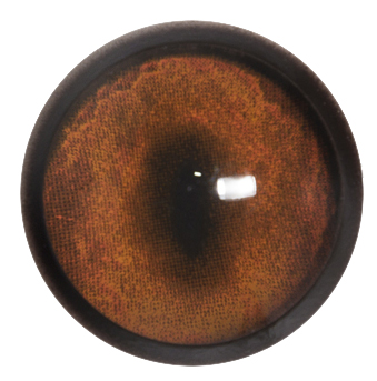 RF14 Red Fox No Band 14 MM