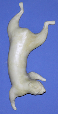 S06 Classics Squirrel Form