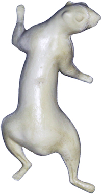 S07 Classics Squirrel Form