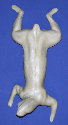 S10 Classics Squirrel Form