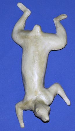 S11 Classics Squirrel Form