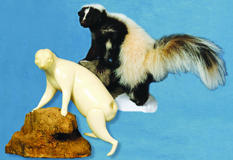 SK9117 Skunk - Brian Harness