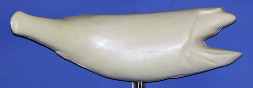 SR2520 Striped Bass Right Side