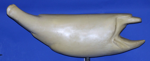 SR3227 Stripped Bass Right Side