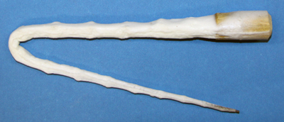 T3 Gray Fox Tail