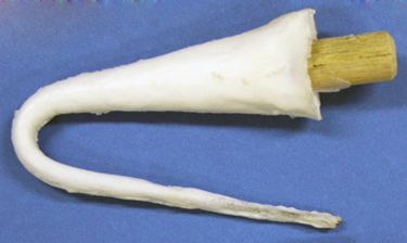 T6 Raccoon Tail