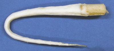 T7 Mink Tail
