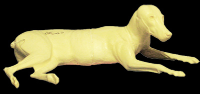 CTW352 Timber Wolf - Peter Knapton
